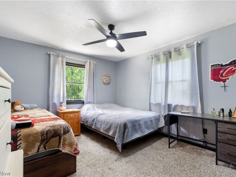 1139 Bristol Champion Townline Road NW, Champion, OH 44402 Photo 16