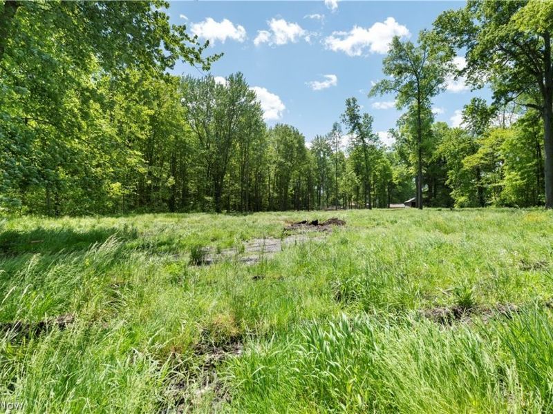 1139 Bristol Champion Townline Road NW, Champion, OH 44402 Photo 31