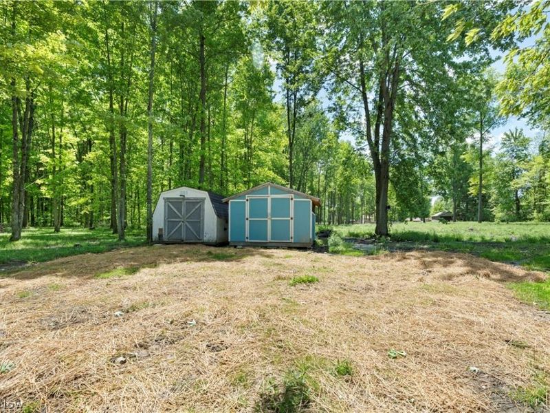 1139 Bristol Champion Townline Road NW, Champion, OH 44402 Photo 32