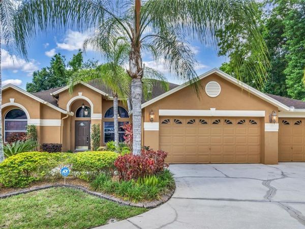 29135 RIVERGATE RUN , WESLEY CHAPEL, FL 33543