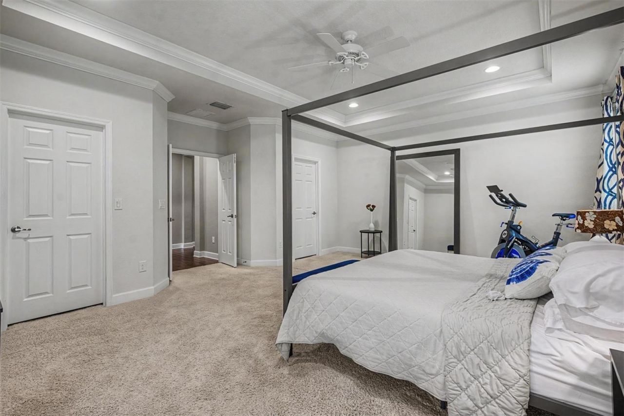 6944 Rocky Canyon Way , Tampa, FL 33625 Photo