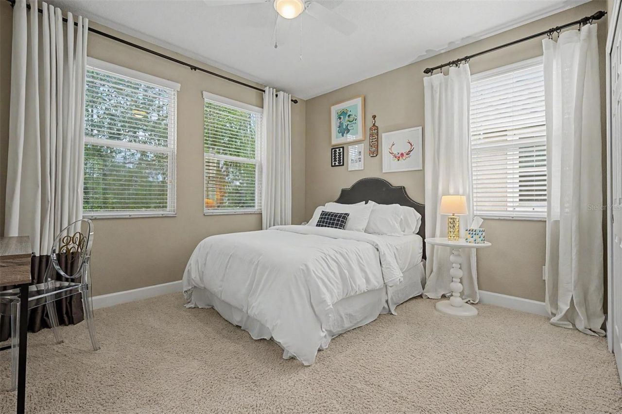 6944 Rocky Canyon Way , Tampa, FL 33625 Photo