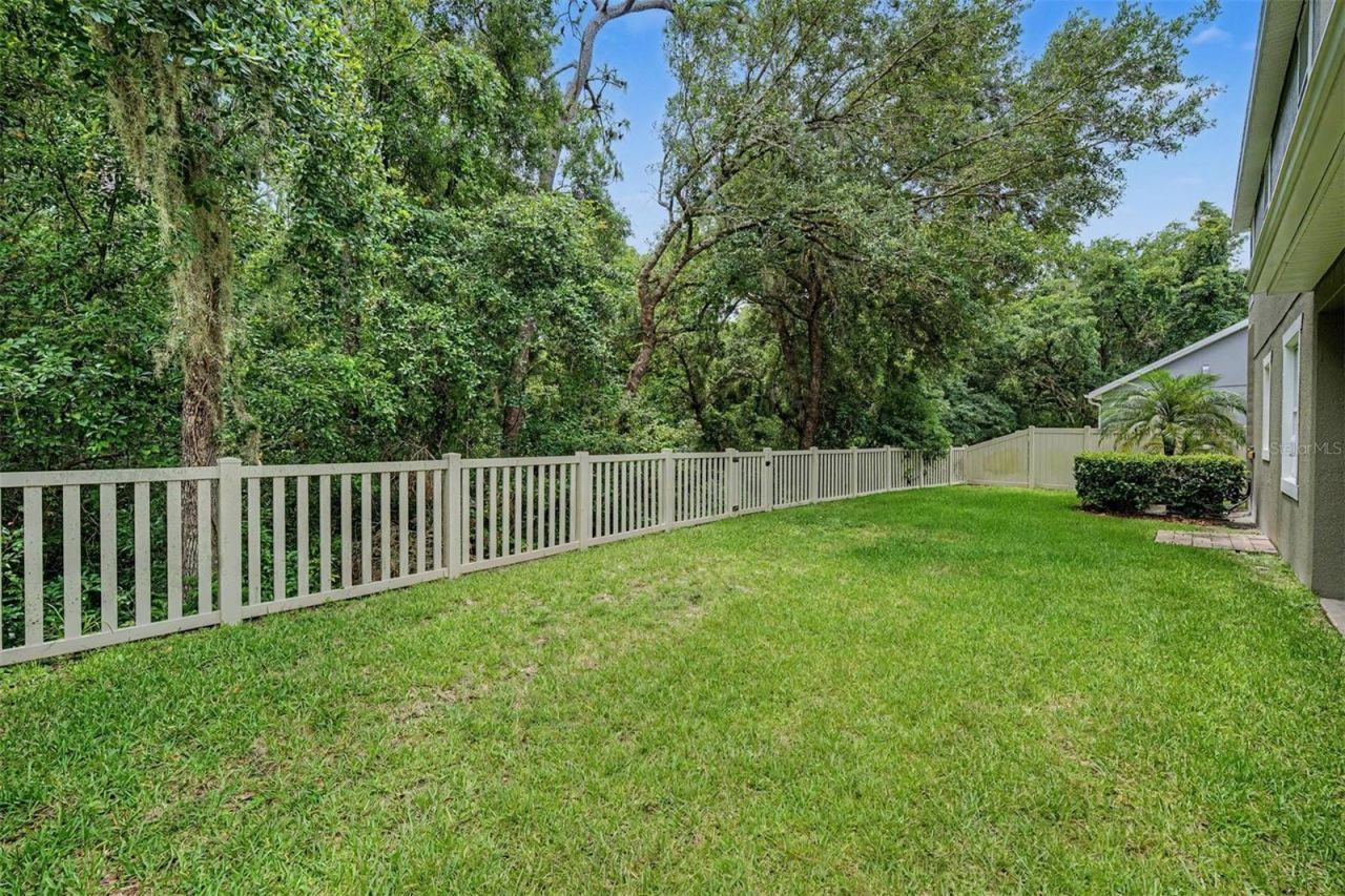 6944 Rocky Canyon Way , Tampa, FL 33625 Photo