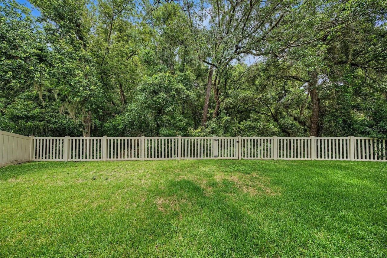 6944 Rocky Canyon Way , Tampa, FL 33625 Photo