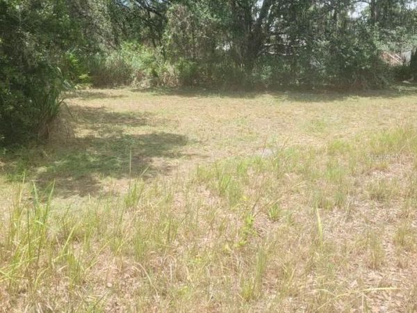 6631 MERLE STREET, MULBERRY, FL 33860