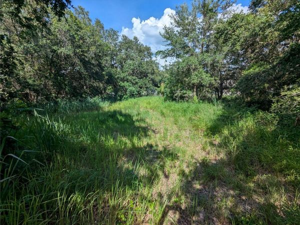 6631 MERLE STREET , MULBERRY, FL 33860