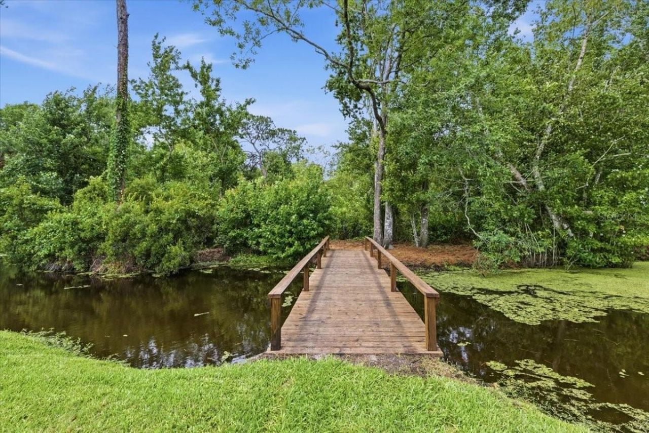 6213 Bridleford Drive , Wesley Chapel, FL 33545 Photo