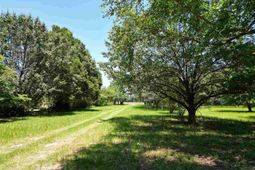 2823 N Old River Rd photo 4