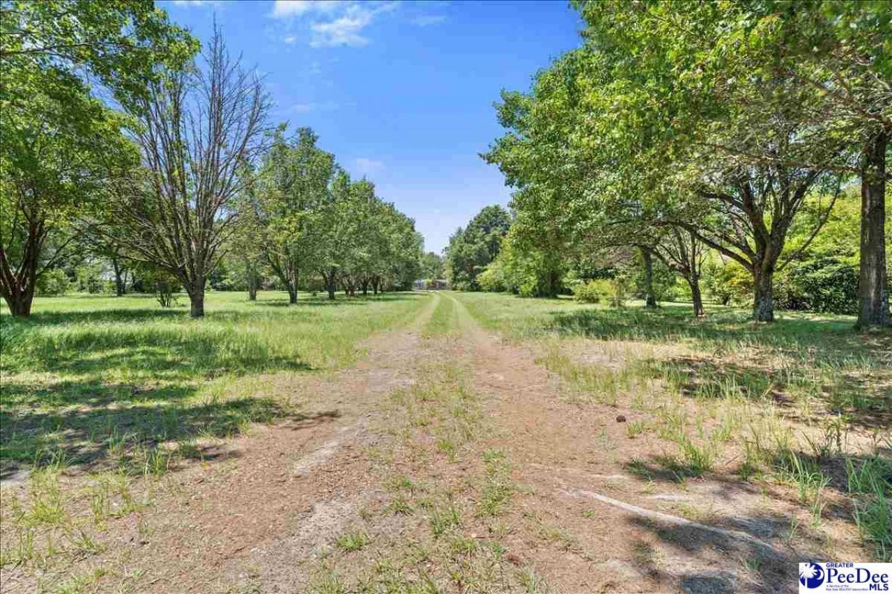 2823 N Old River Rd Photo 33