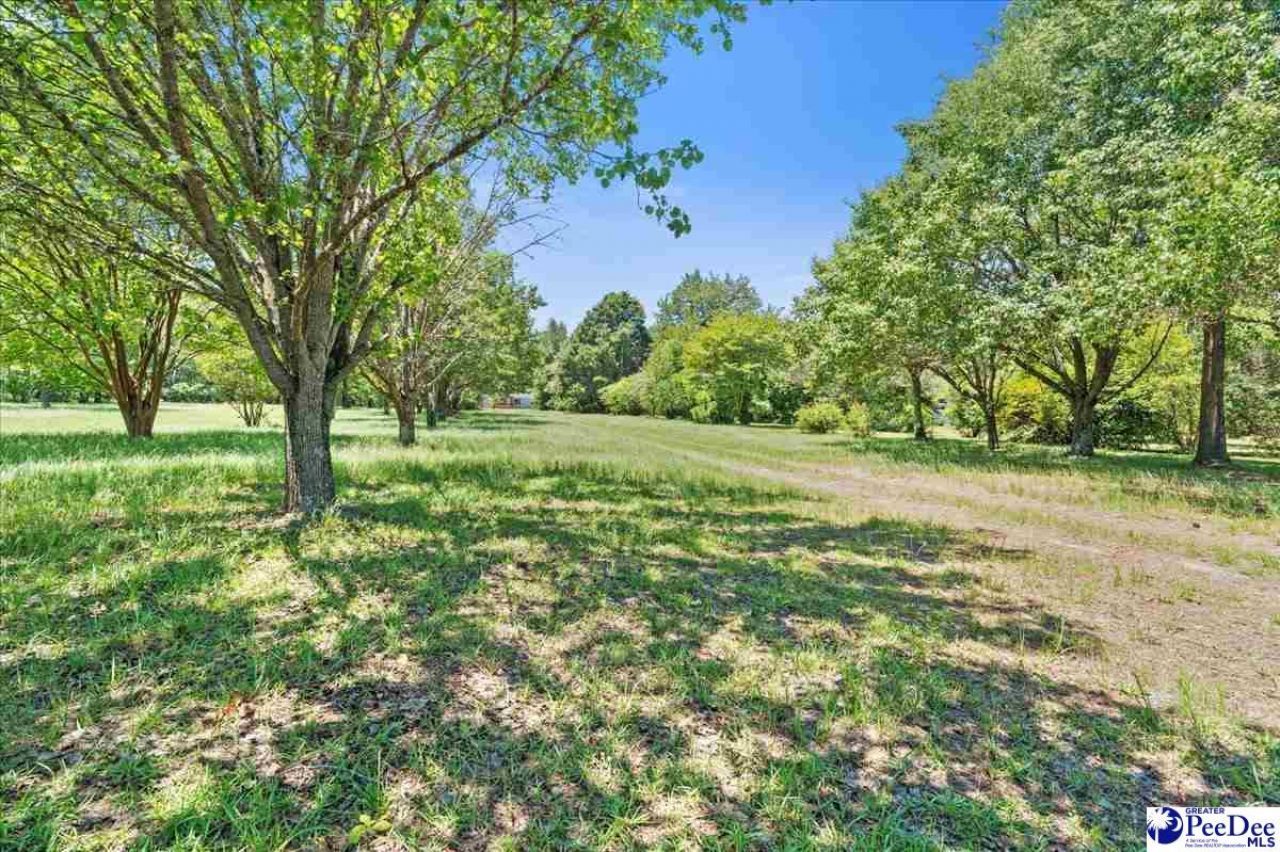 2823 N Old River Rd Photo 34