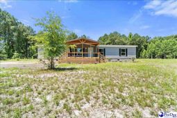 2823 N Old River Rd photo 4