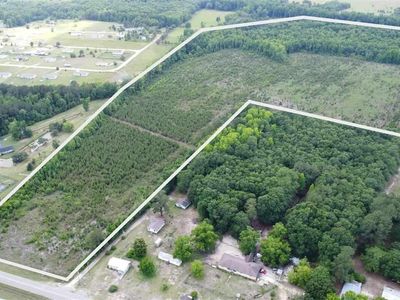 TBD Christmas Farm Rd. +/-56.6ac, Latta, SC 29565