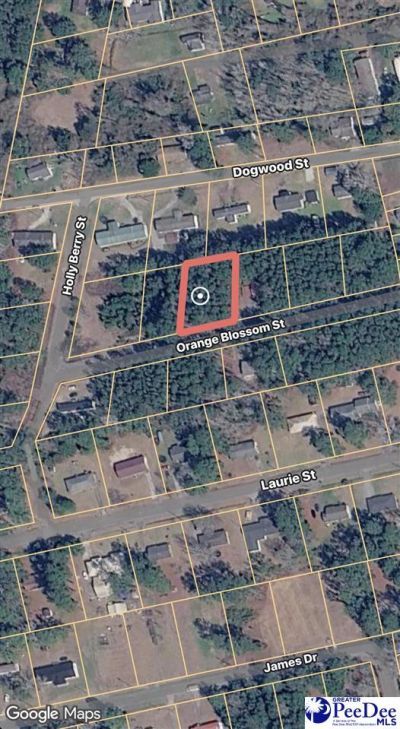 7 Orange Blossom Street (lot 18) Photo 12