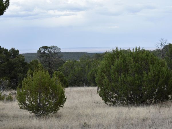 184 Sunlight Road , Edgewood, NM 87015