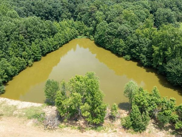 0 Moons Grove Church Road, Danielsville, GA 30633