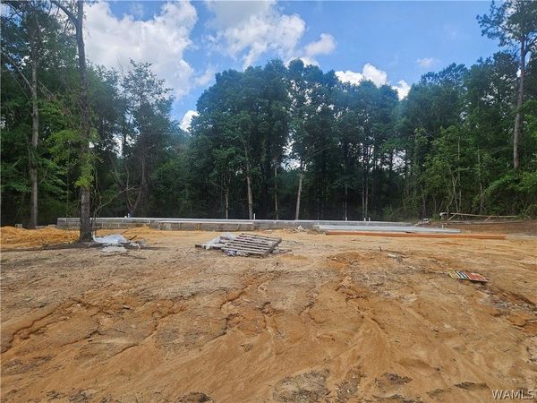 206 Magnolia Creek Drive, Gordo, AL 35463