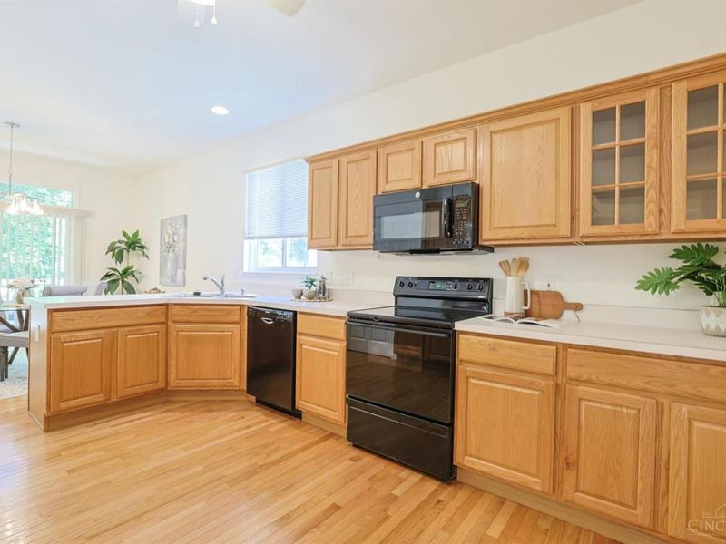 531 County Down Lane, Loveland, OH 45140 Photo 14