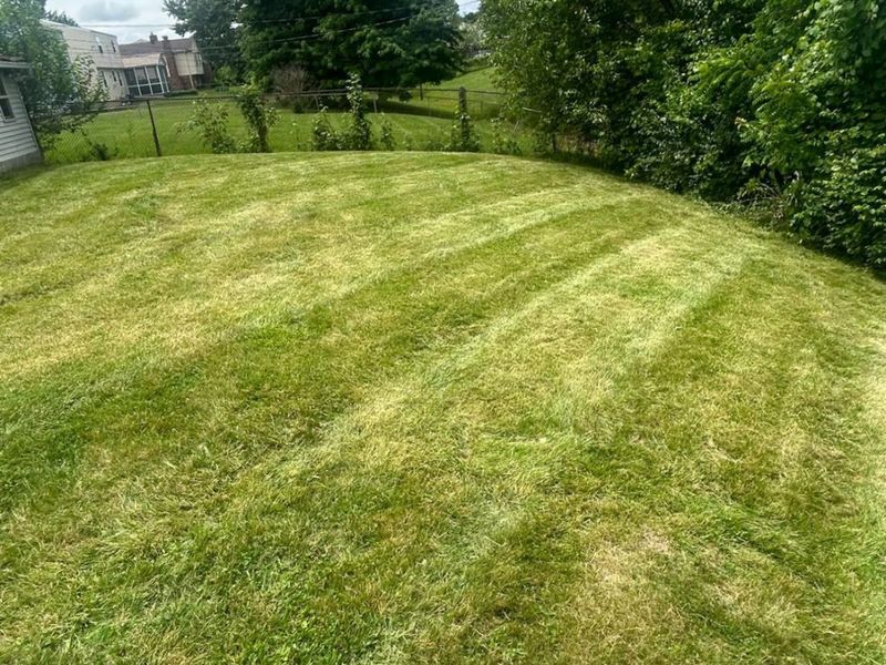 11255 Logenberry, Forest Park, OH 45240 Photo 4