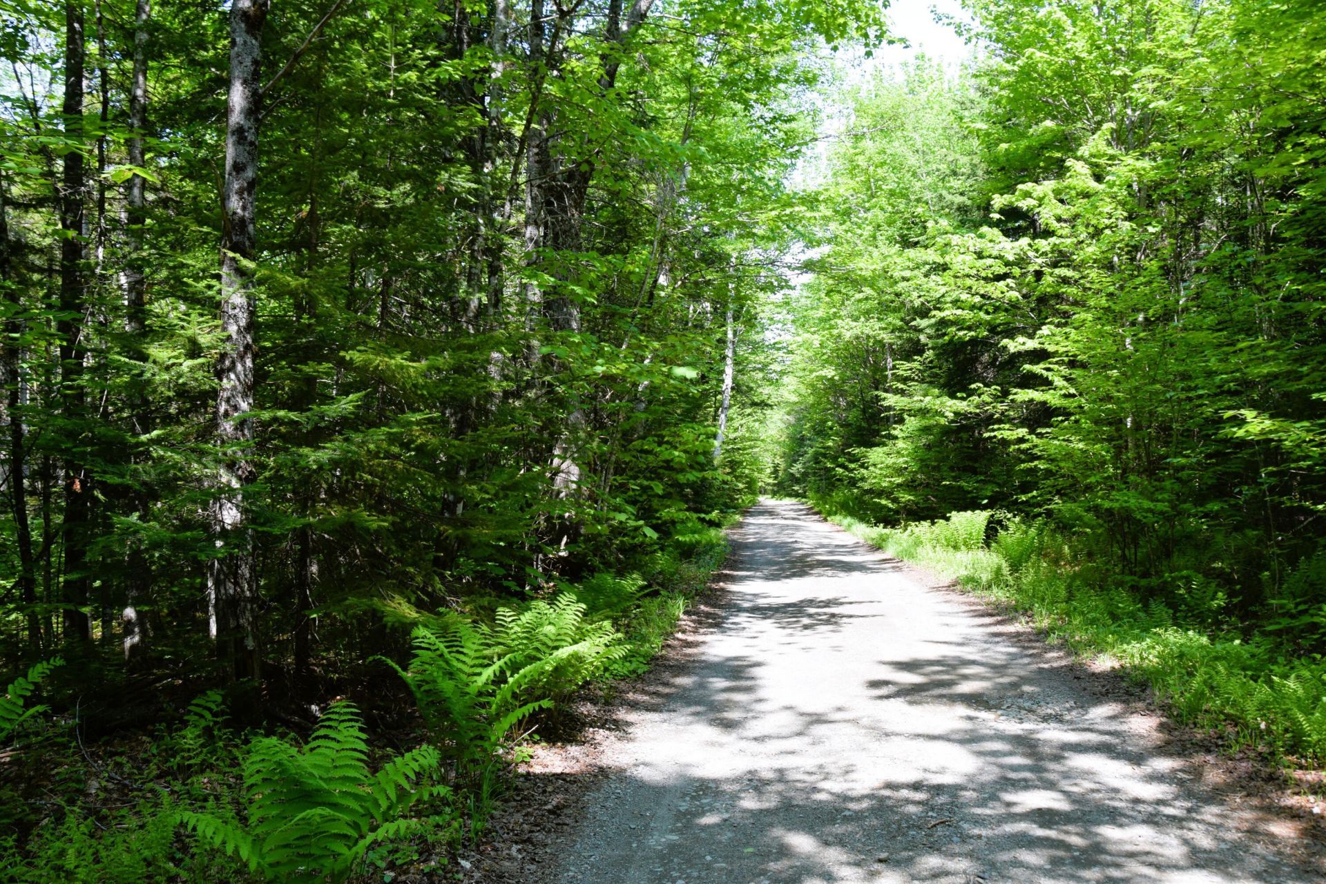 Ms03l17.3 Carry Pond Road , Carrying Place Township, ME 04961 Main Photo