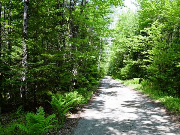 MS03l17.3 Carry Pond Road , Carrying Place Twp, ME 04961
