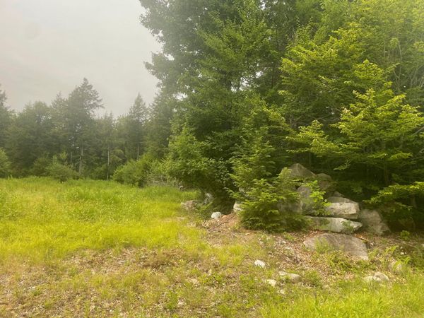 Lot 3A Allen Mountain Trail, Denmark, ME 04022