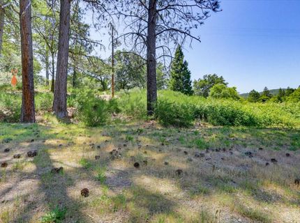 26130 State Highway 49, North San Juan, CA 95959 Photo