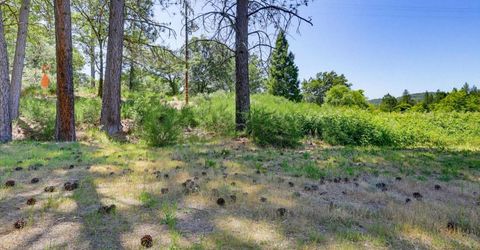 26130 State Highway 49, North San Juan, CA 95959 Photo