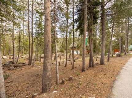 51305 Tamarack Crescent, Soda Springs, CA 95728 Photo