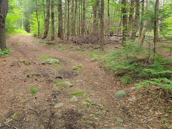 0 Stockwell Road, Royalston, MA 01368