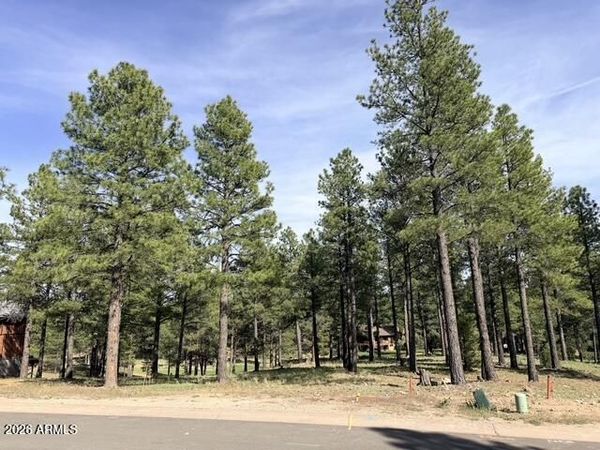 3698 S Woodland Hills Drive, Unit 383, Flagstaff, AZ 86005