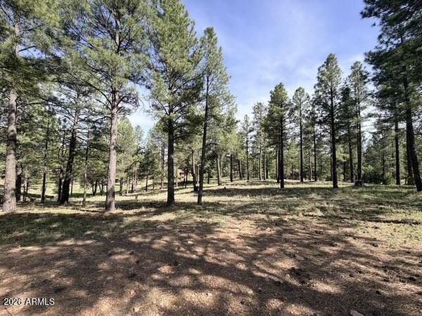 3698 S Woodland Hills Drive, Unit 383, Flagstaff, AZ 86005