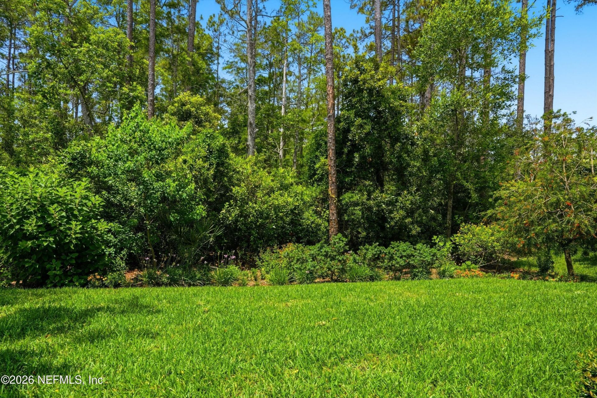 353 Cobbler Trail, Jacksonville, FL 32256 Photo