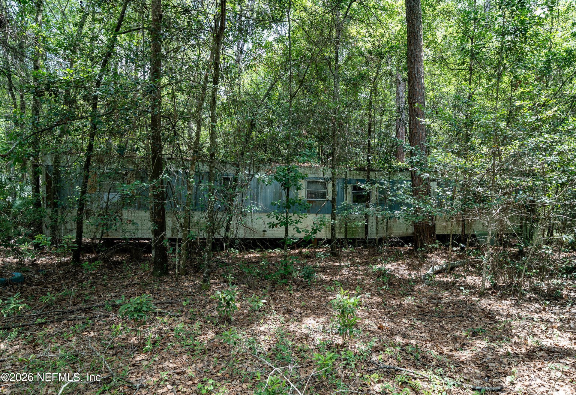 15450 Forest Trail Road, Jacksonville, FL 32234 Photo