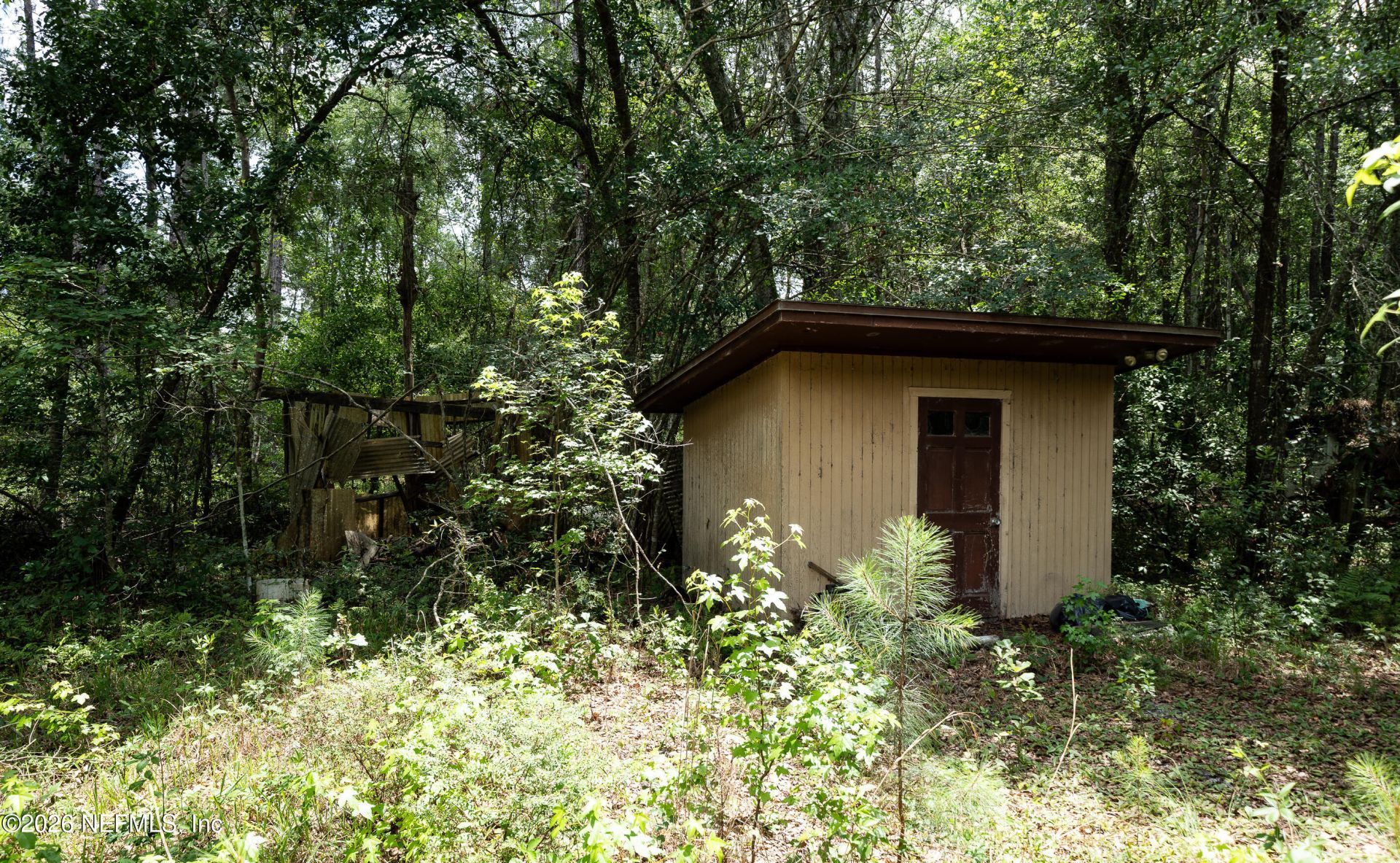 15450 Forest Trail Road, Jacksonville, FL 32234 Photo