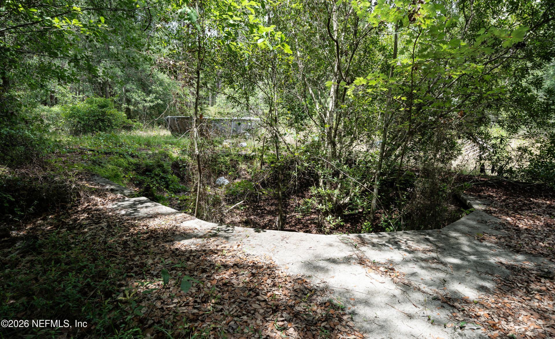 15450 Forest Trail Road, Jacksonville, FL 32234 Photo