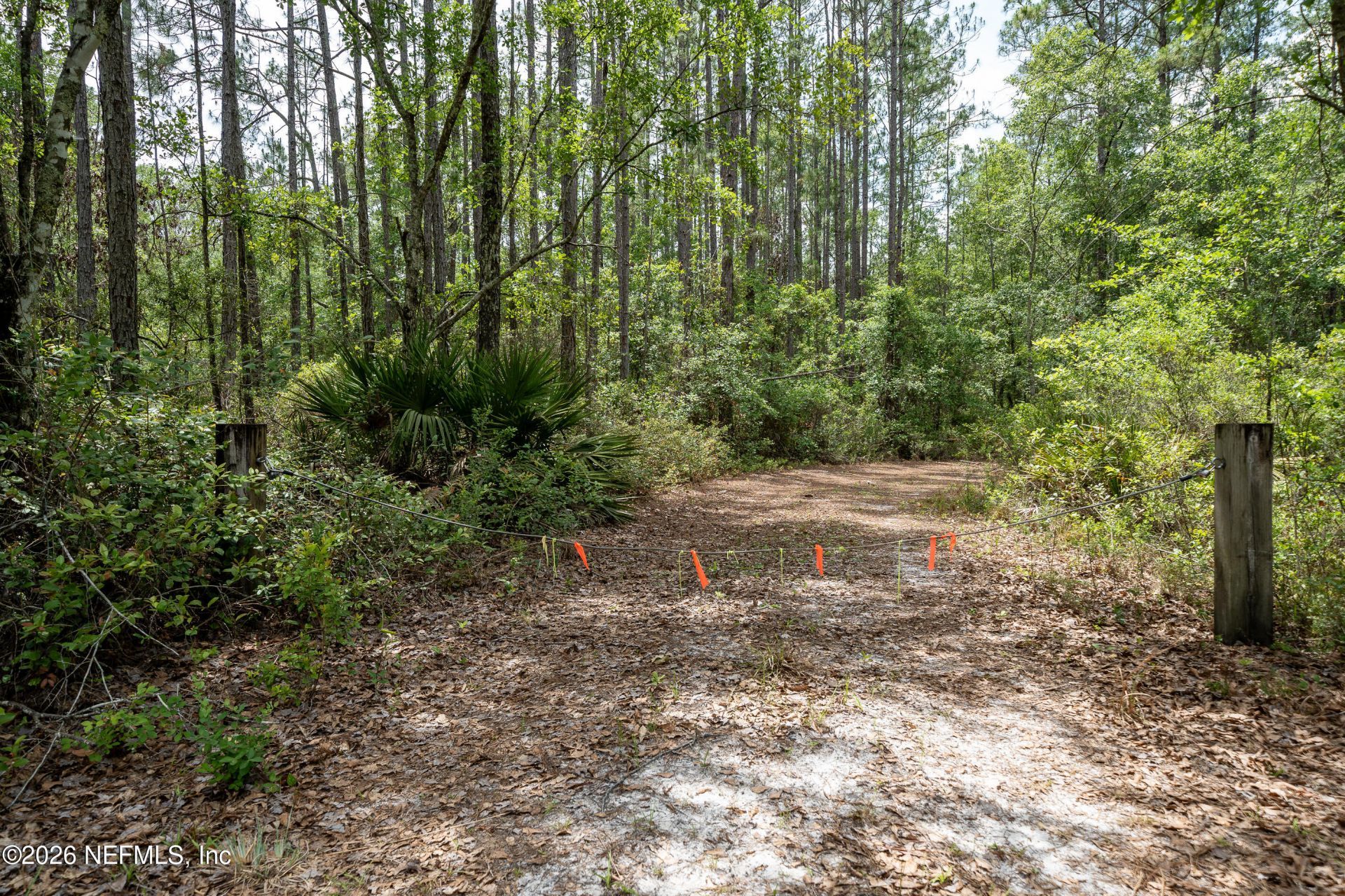 15450 Forest Trail Road, Jacksonville, FL 32234 Photo