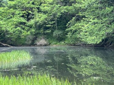 1328 Moyers Road, Bruceton Mills, WV 26525