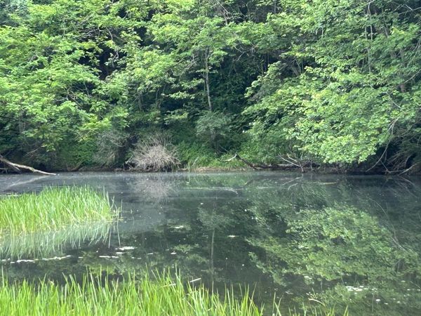 1440 Moyers Road, Bruceton Mills, WV 26525