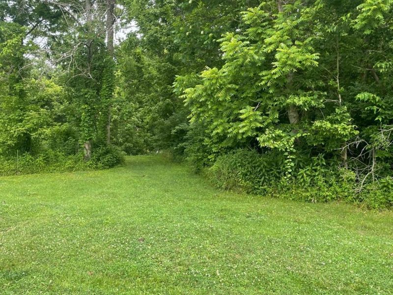 0 Palestine Road, New Richmond, OH 45157 Photo 3