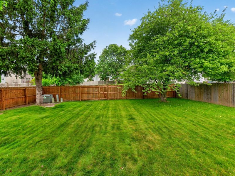 803 Tricolor Drive, Reynoldsburg, OH 43068 Photo 37
