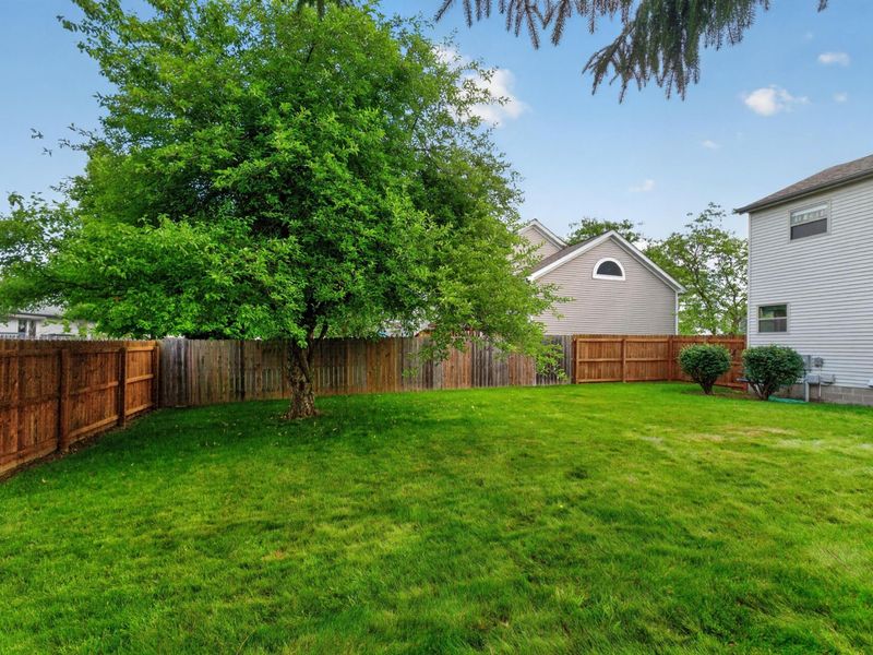 803 Tricolor Drive, Reynoldsburg, OH 43068 Photo 38