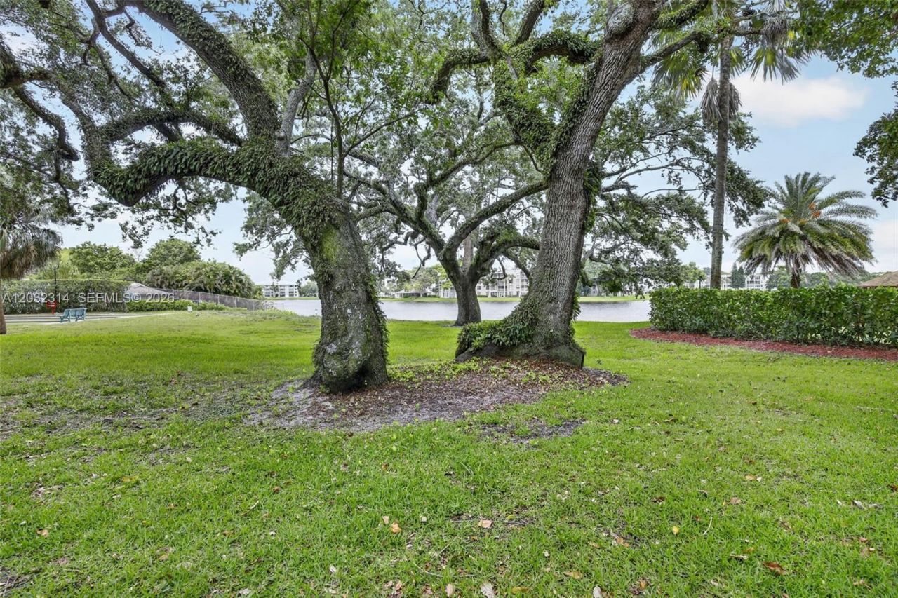 1911 Sabal Palm Dr , Unit 202, Davie, FL 33324 Photo