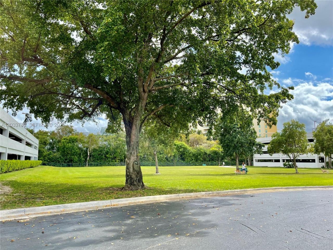 3300 NE 192nd St , Unit 509, Aventura, FL 33180 Photo