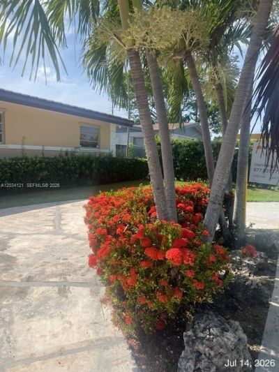 18715 NE 18th Ave, Miami, FL 33179 Photo