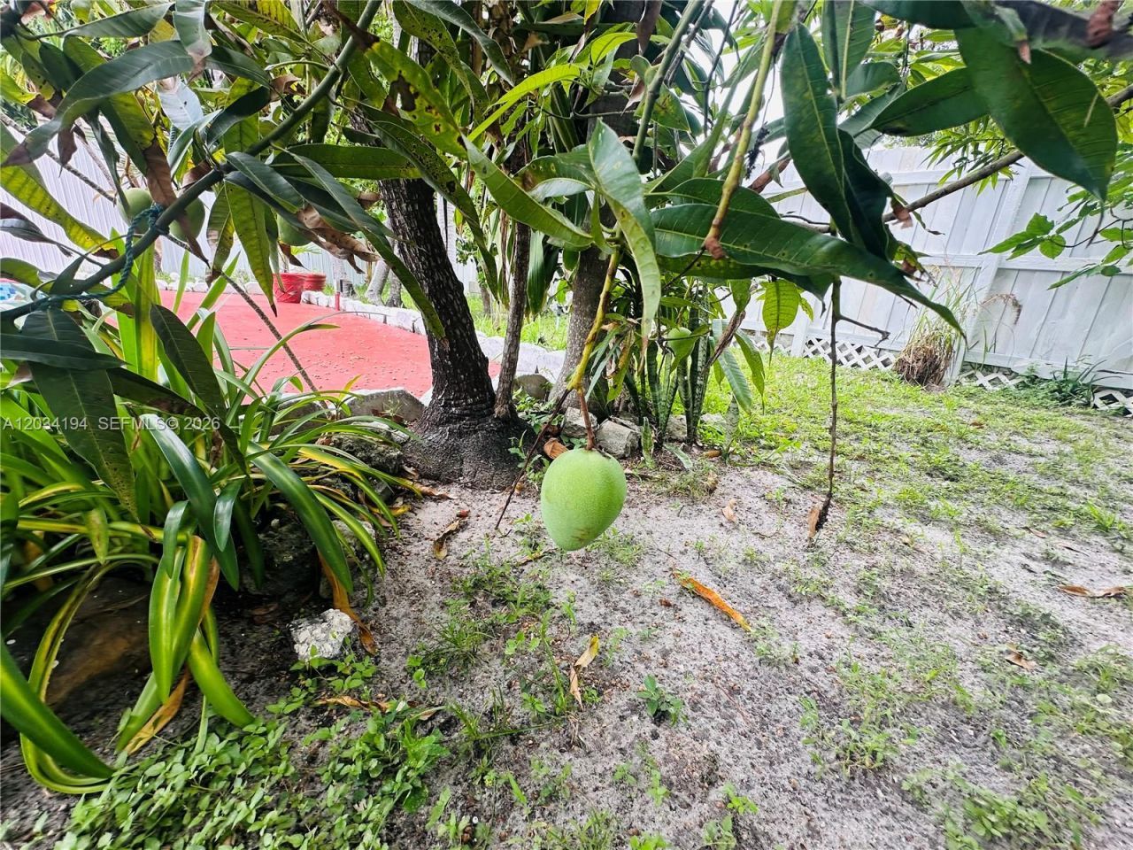 1215 S 24th Ave, Hollywood, FL 33020 Photo