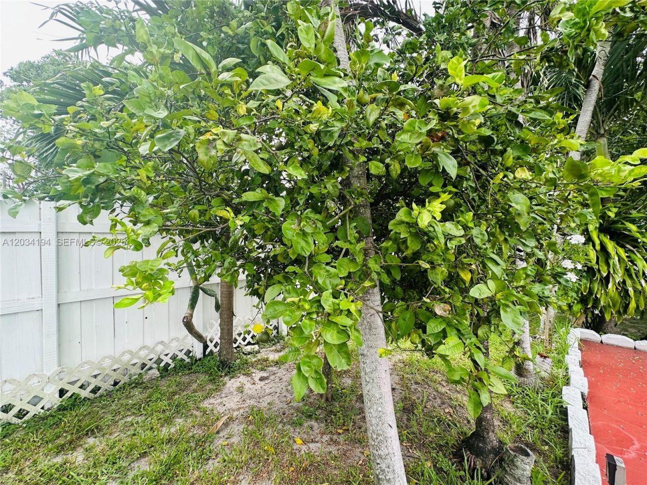 1215 S 24th Ave, Hollywood, FL 33020 Photo
