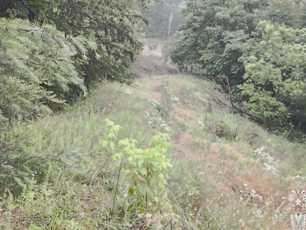 2595 Highway 31, Mooresburg, TN 37811