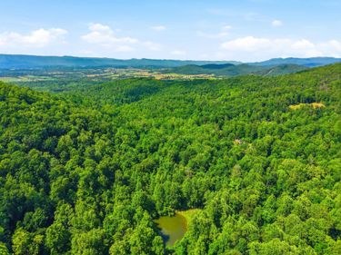 JORDAN HOLLOW RD, STANLEY, VA 22851