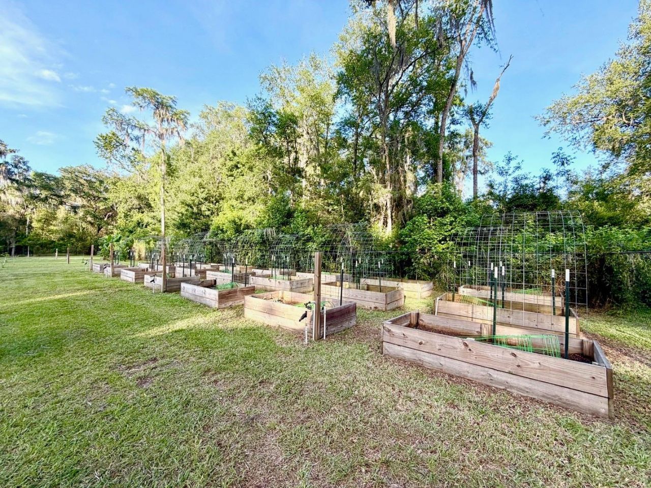 1043 SE County Road 21b , Melrose, FL 32666 Photo