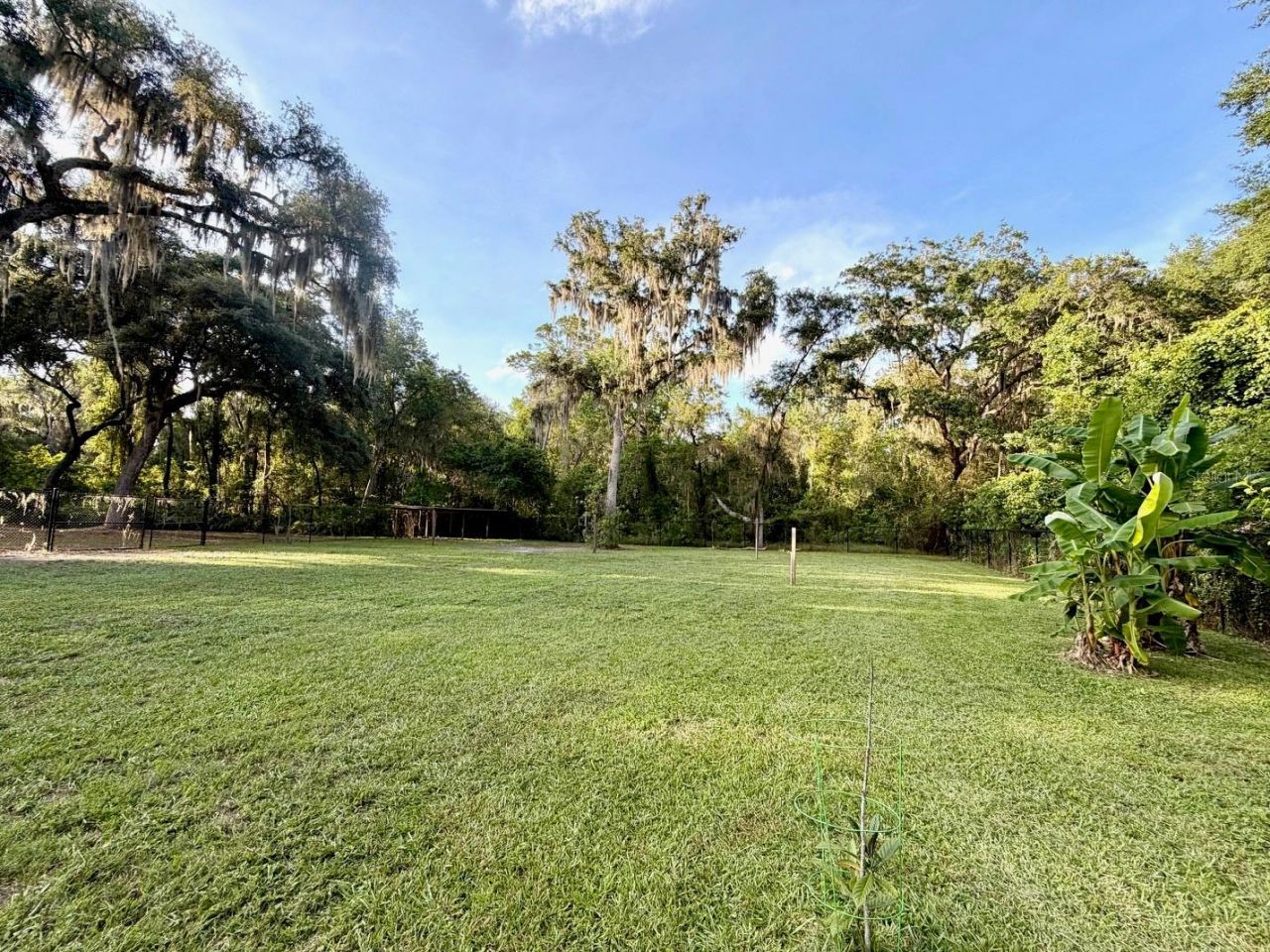 1043 SE County Road 21b , Melrose, FL 32666 Photo